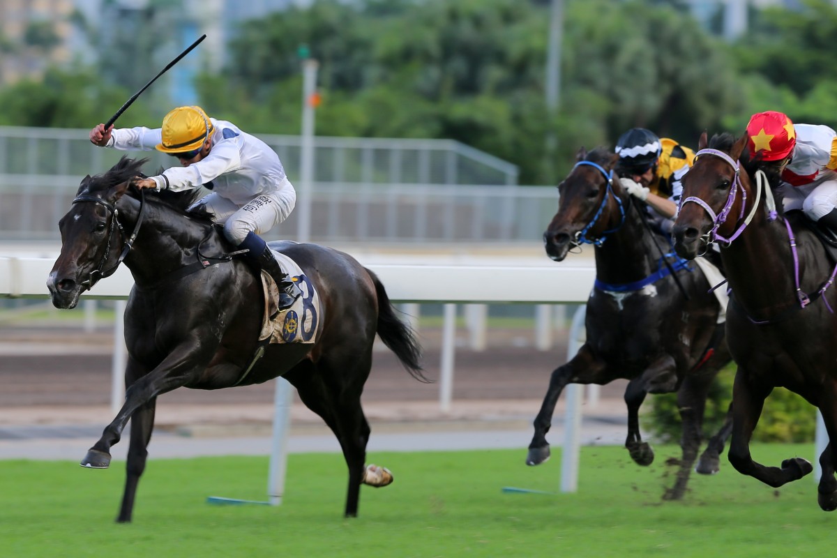 The winners are coming thick and fast for Vincent Ho. Photo: Kenneth Chan