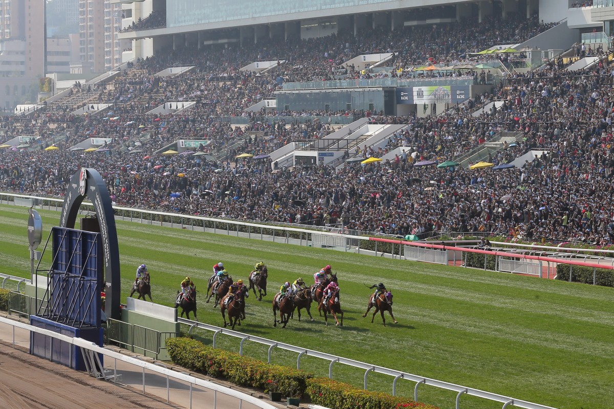 Horses race across the line at Sha Tin. Photo: Kenneth Chan