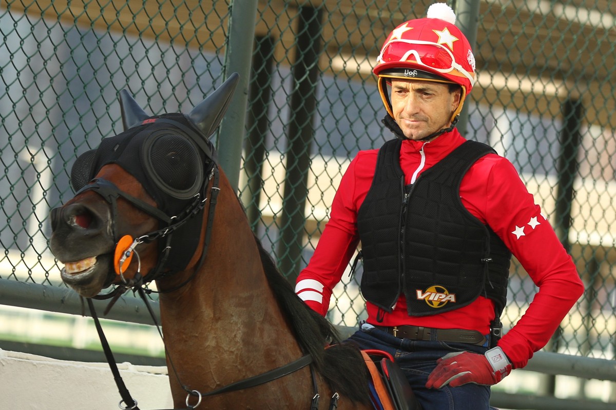 Douglas Whyte returns after working Adonis during the week. Photos: Kenneth Chan