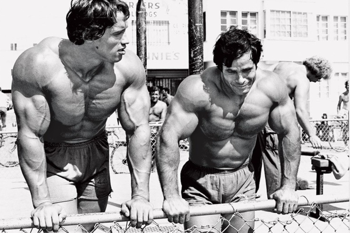 Image result for franco columbu arnold