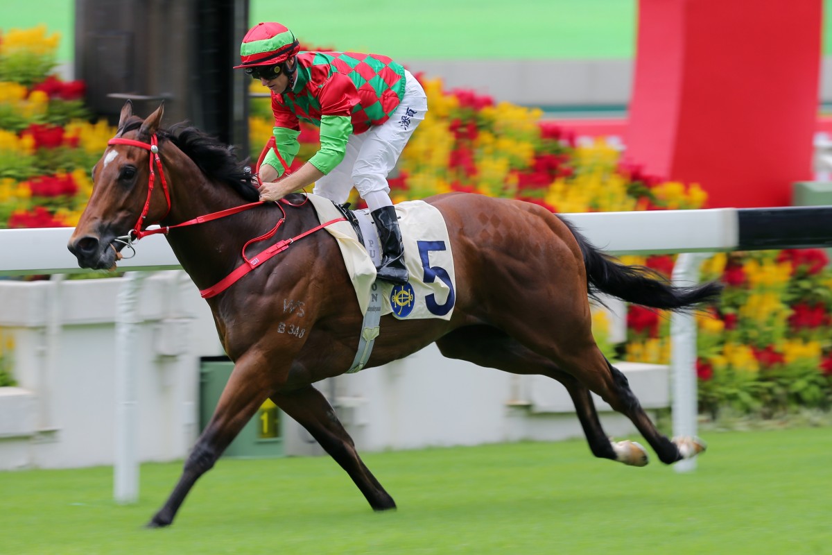Regency Legend romps to a commanding win at Sha Tin on Sunday. Photos: Kenneth Chan