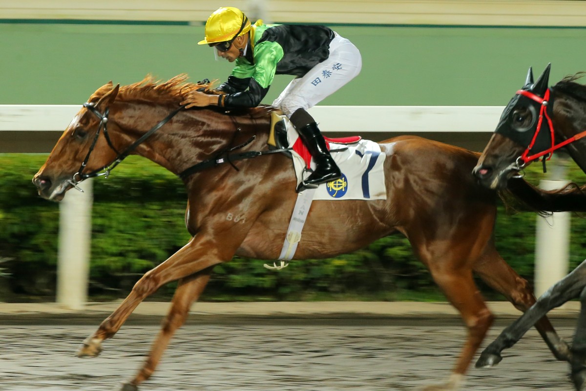 Ugly Warrior wins at Sha Tin in June. Photo: Kenneth Chan