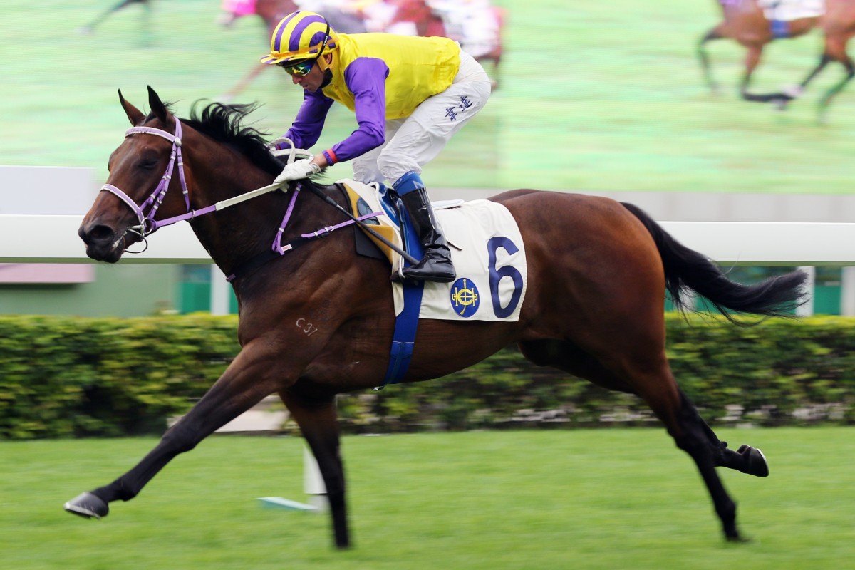 Invincible Missile salutes on debut in December last year, but hasn’t won since. Photos: Kenneth Chan