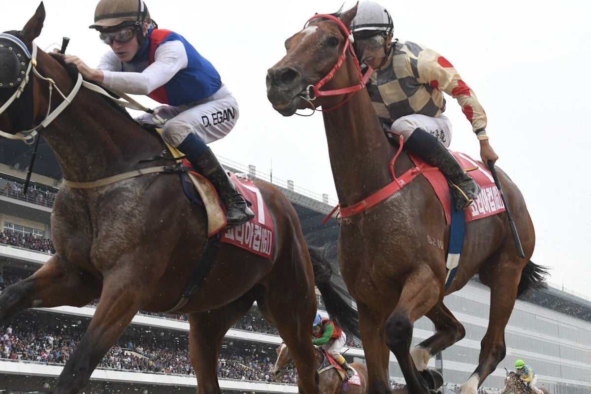 Horse racing betting sites reviews Horse racing betting sites reviews