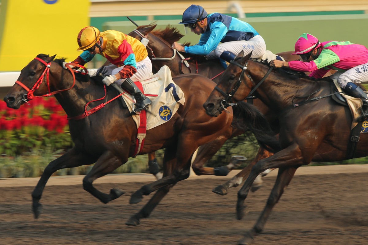 Elusive State (pink silks) runs a close second to Big Time Baby (yellow) on Sunday. Photos: Kenneth Chan