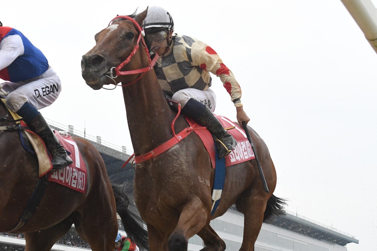 Glorious Artist finishes strongly in the Korea Cup at Seoul on Sunday. Photos: HKJC
