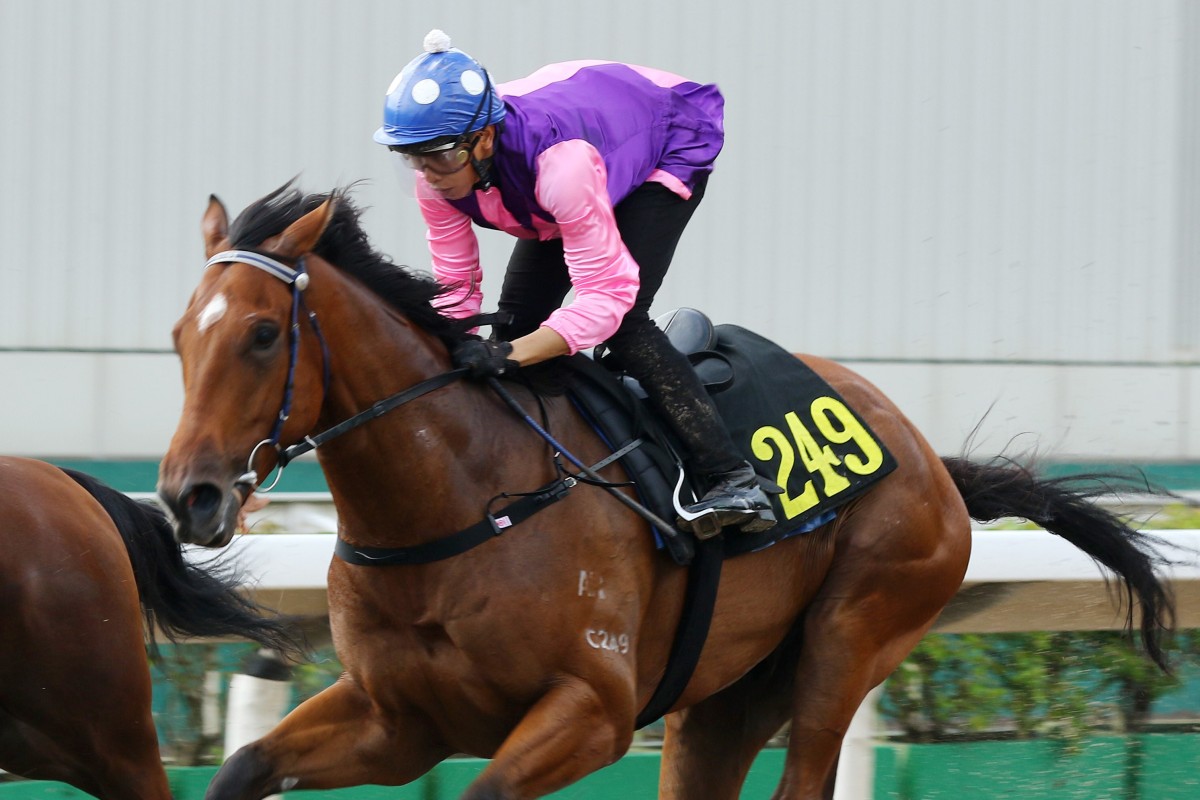 Vincent Ho trials King’s Race at Sha Tin earlier this month. Photos: Kenneth Chan