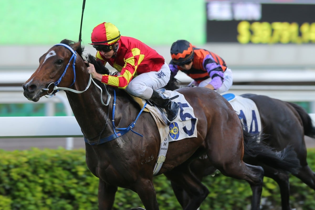 Winning Delight dashes clear to win on debut at Sha Tin. Photos: Kenneth Chan
