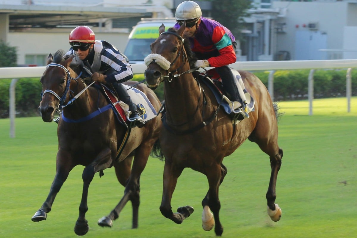 Singapore Sling (outside) trials strongly at Happy Valley on Friday morning. Photos: Kenneth Chan