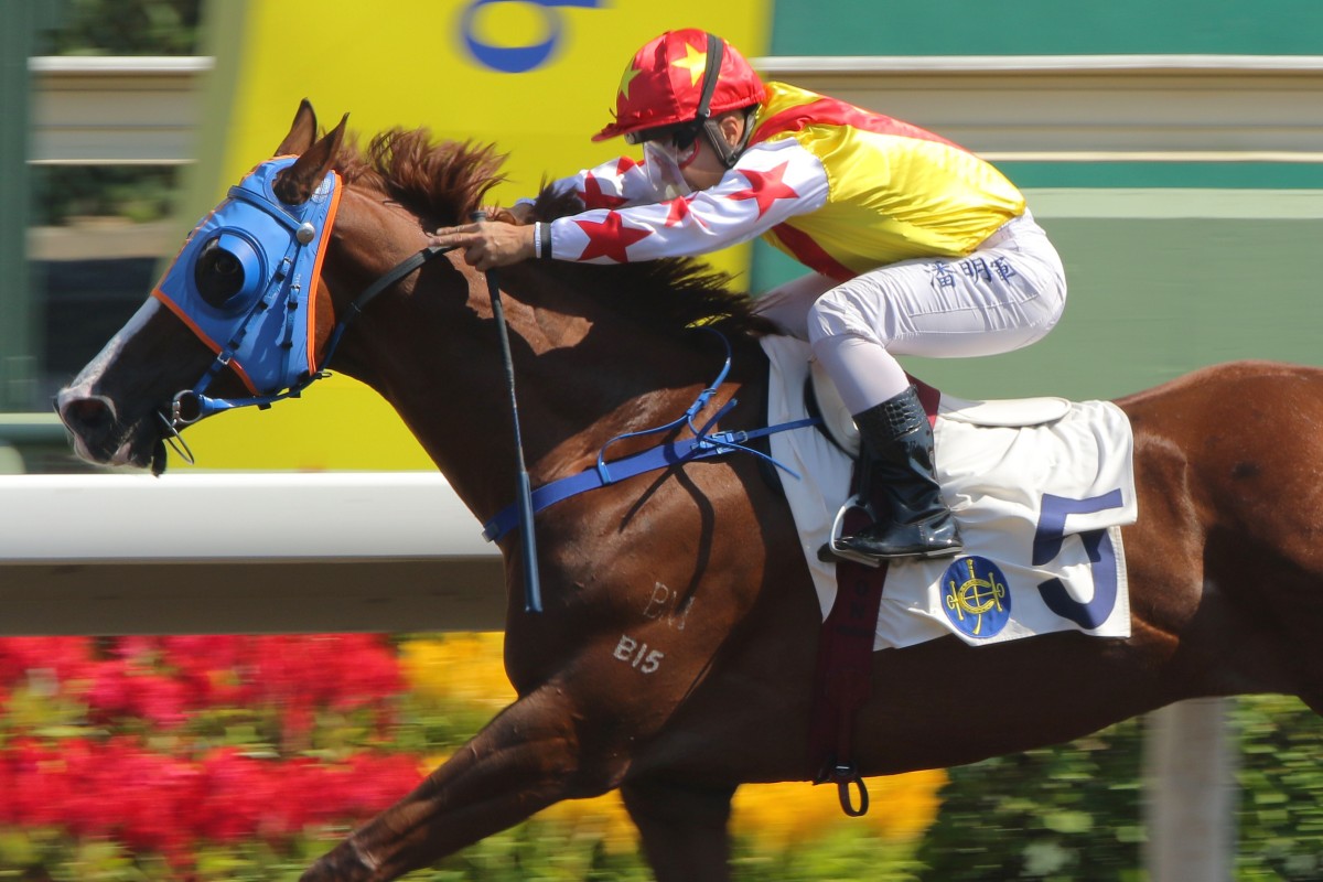 Matthew Poon punches out Elite Boy at Sha Tin on Saturday. Photos: Kenneth Chan