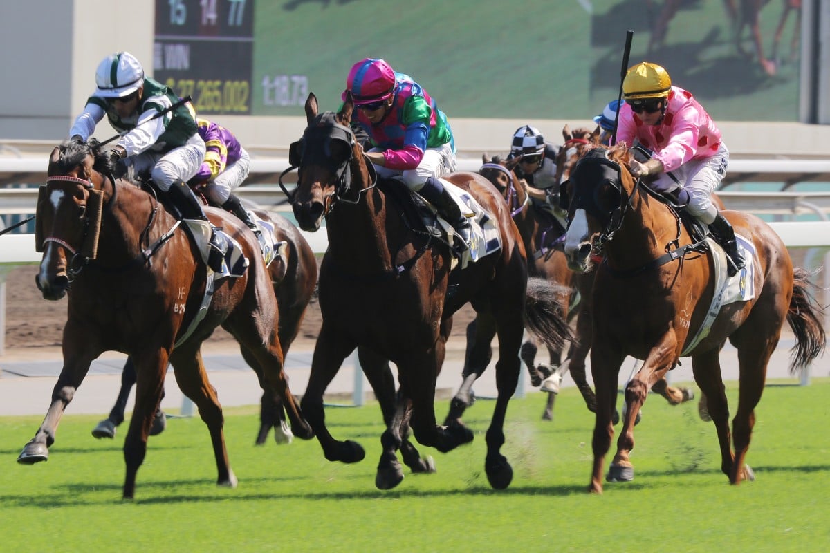 The races go off without a hitch at Sha Tin on Sunday. Photo: Kenneth Chan