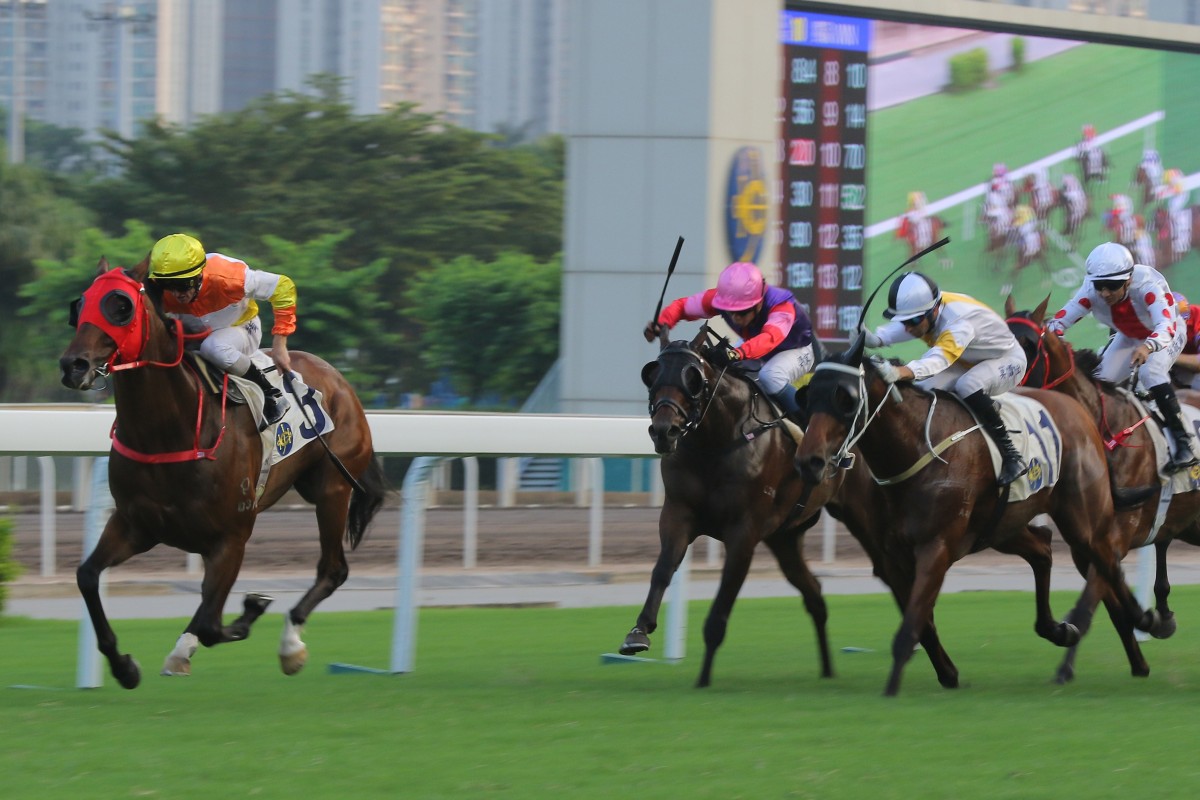 Happy Fun wins the last race Betfair hosted a market on in Hong Kong. Photo: Kenneth Chan