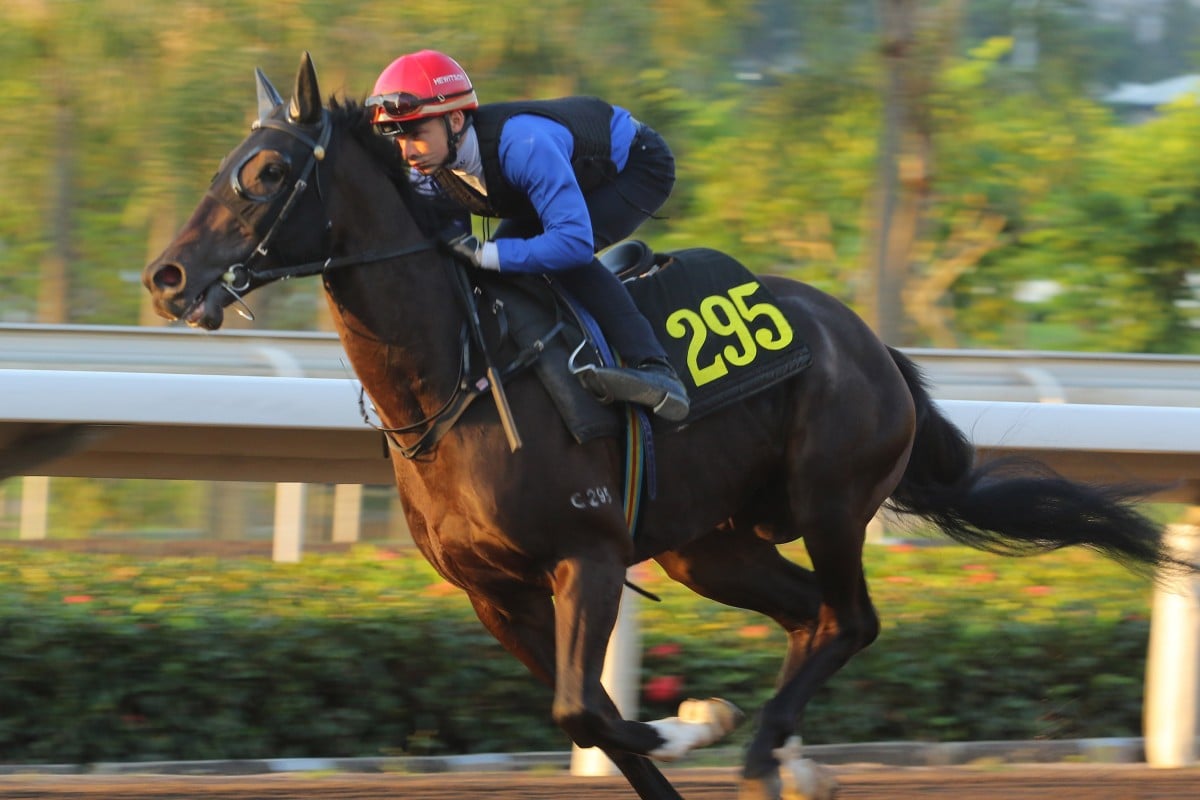 Lyle Hewitson gallops Bravery And Power on the Sha Tin all-weather surface ahead of Wednesday night. Photos: Kenneth Chan