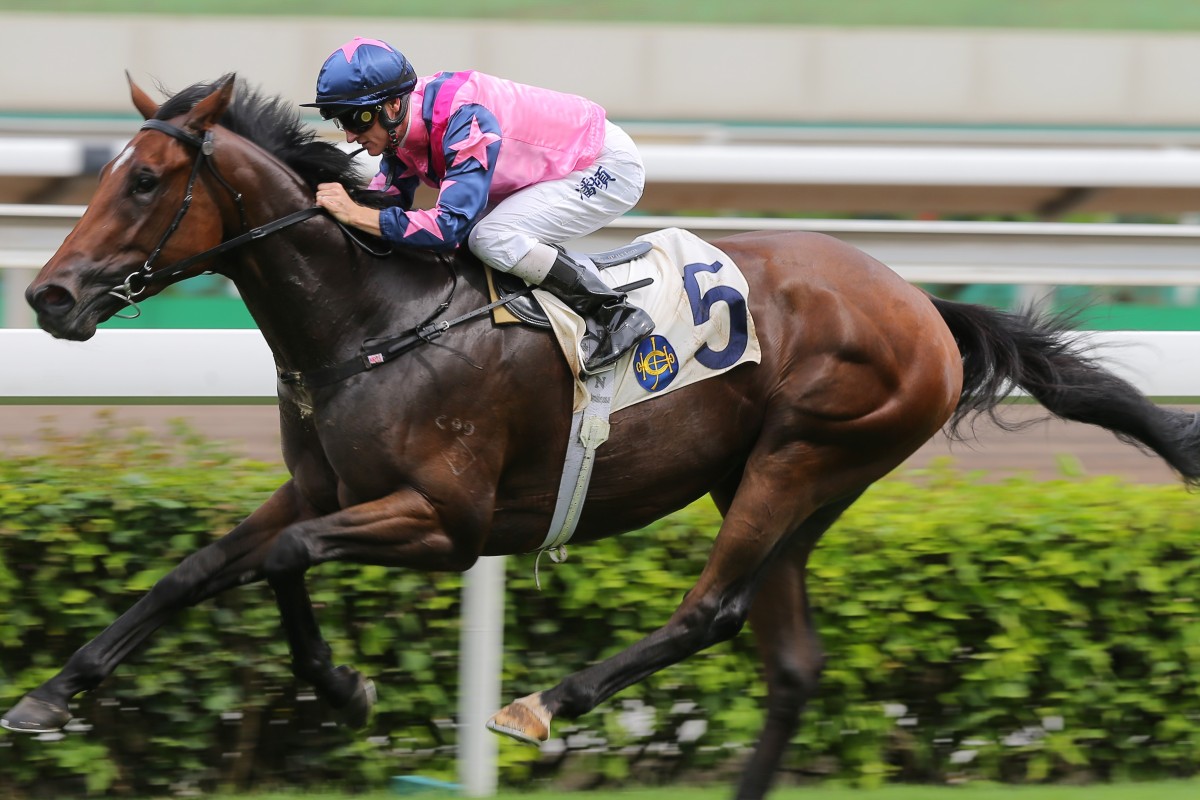 Chicken Dance breaks his maiden status at Sha Tin last season. Photos: Kenneth Chan