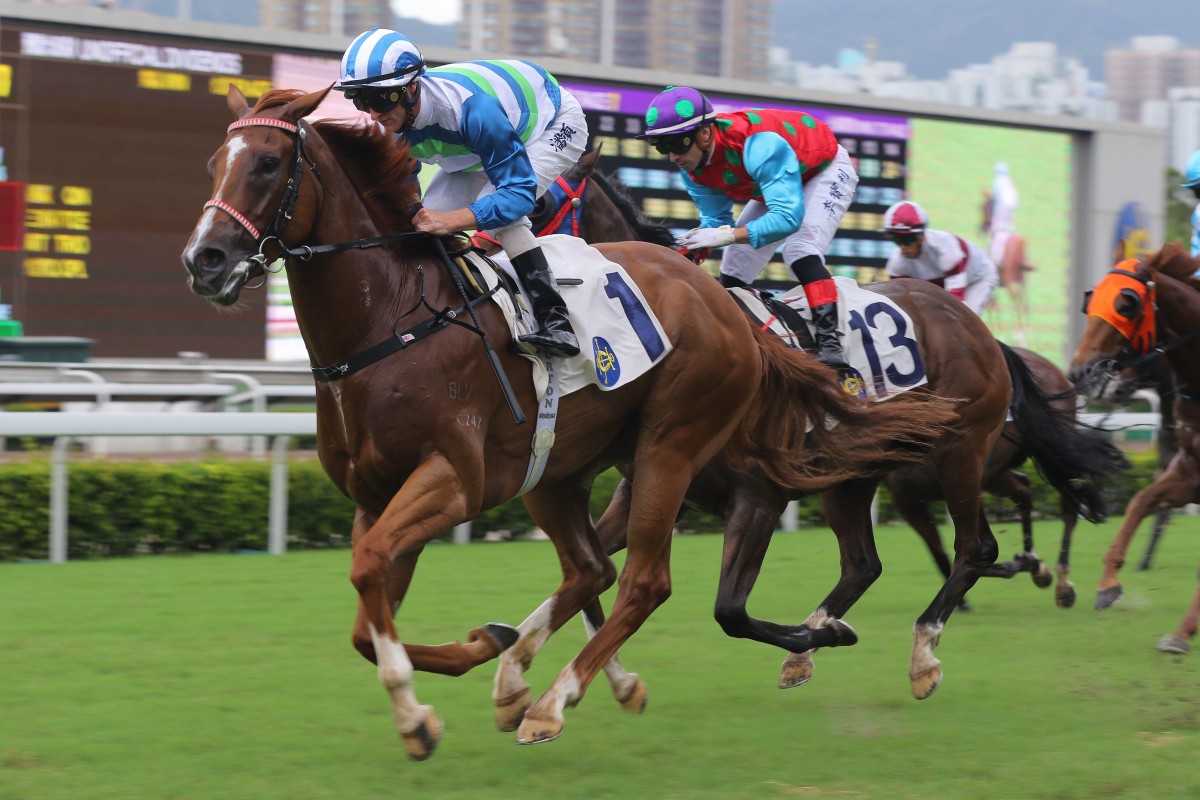 Voyage Warrior salutes at Sha Tin in June. Photos: Kenneth Chan