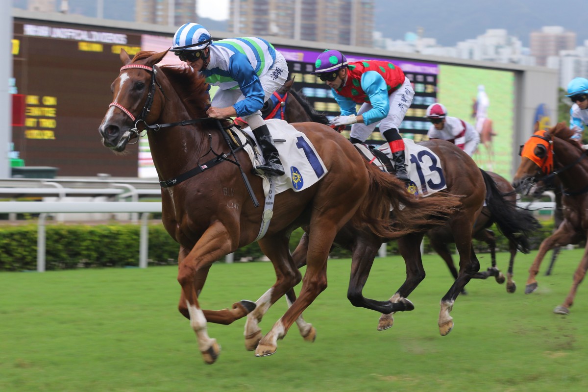 Voyage Warrior steps out for the first time this season on Saturday. Photos: Kenneth Chan