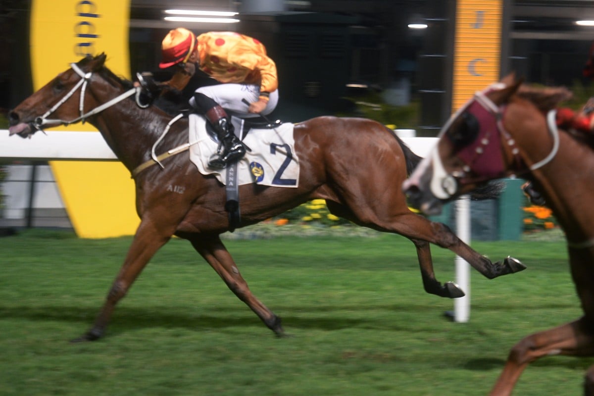 Gold Mount salutes at Happy Valley last year. Photos: Kenneth Chan