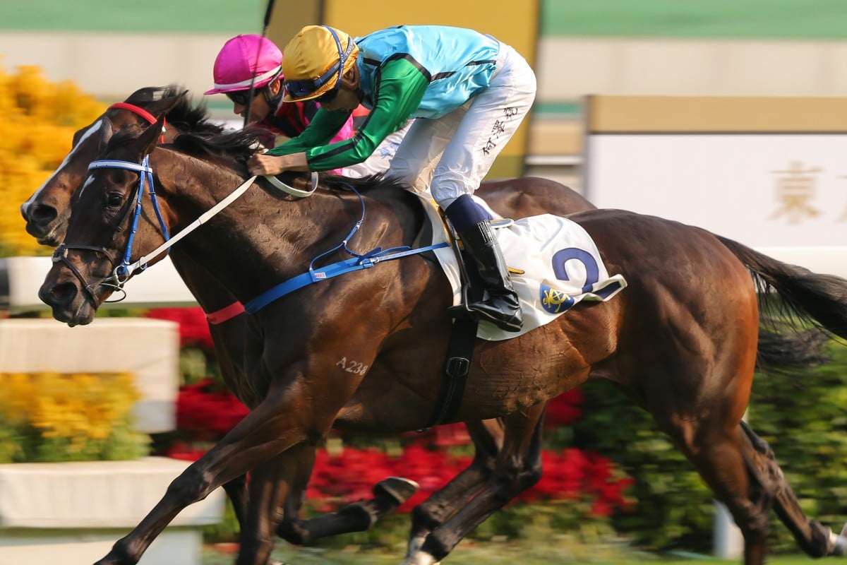 Rise High noses out Waikuku to win at Sha Tin on Sunday. Photos: Kenneth Chan