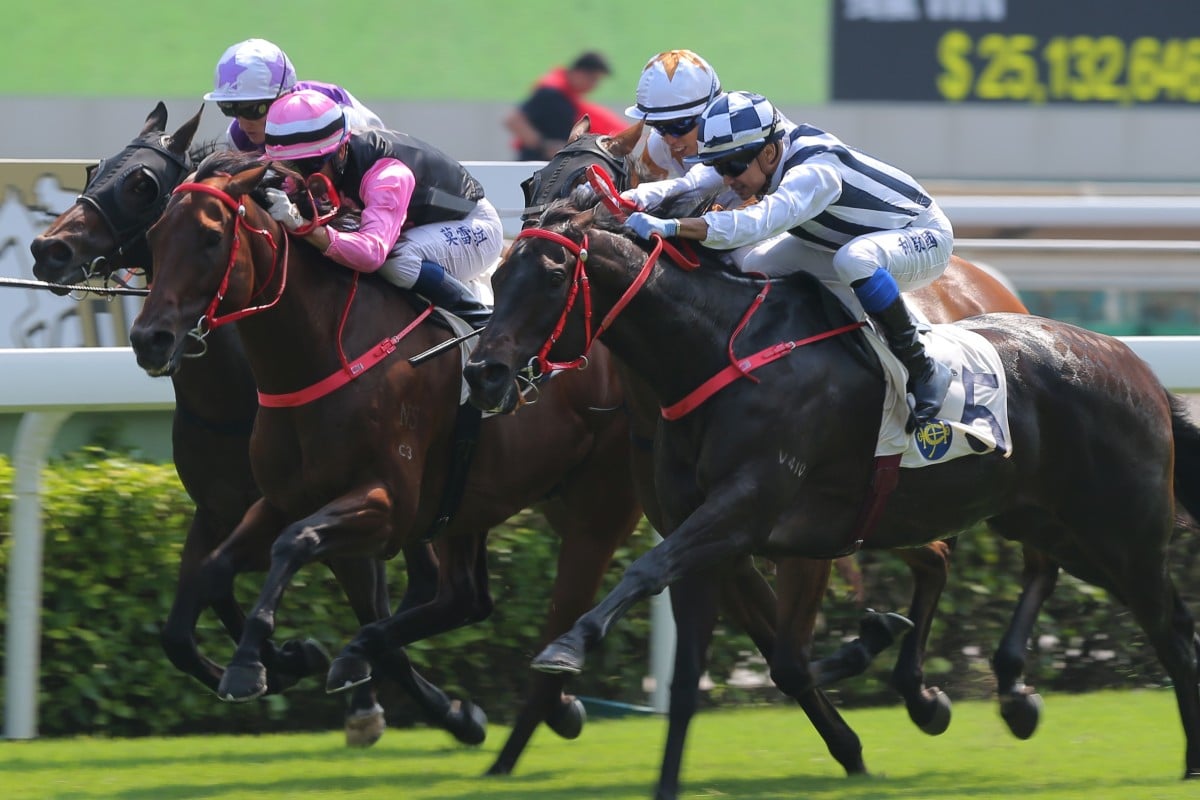 Seasons Bloom (outside) runs over the top of a bunched finish to win at Sha Tin on Sunday. Photos: Kenneth Chan