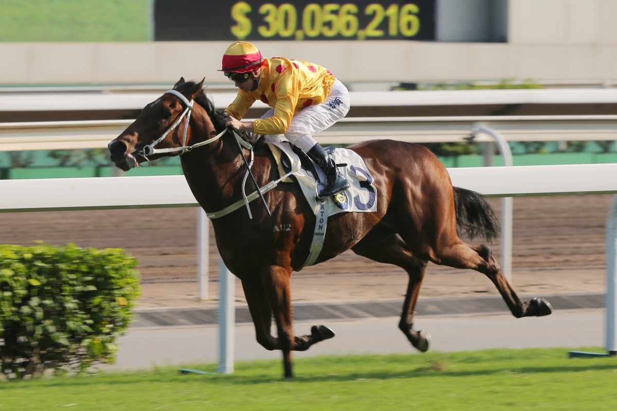 Gold Mount wins at Sha Tin. Photos: Kenneth Chan