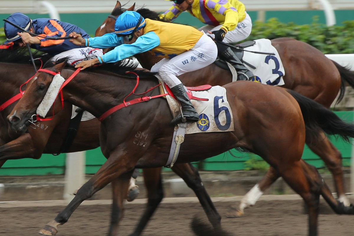 Coby Oppa wins in Class Three grade on the all-weather surface at Sha Tin. Photos: Kenneth Chan