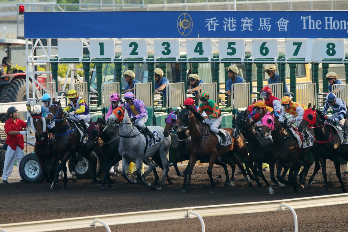 Horses jump from the gates during one of the dirt races at Sha Tin on Sunday. Photos: Kenneth Chan