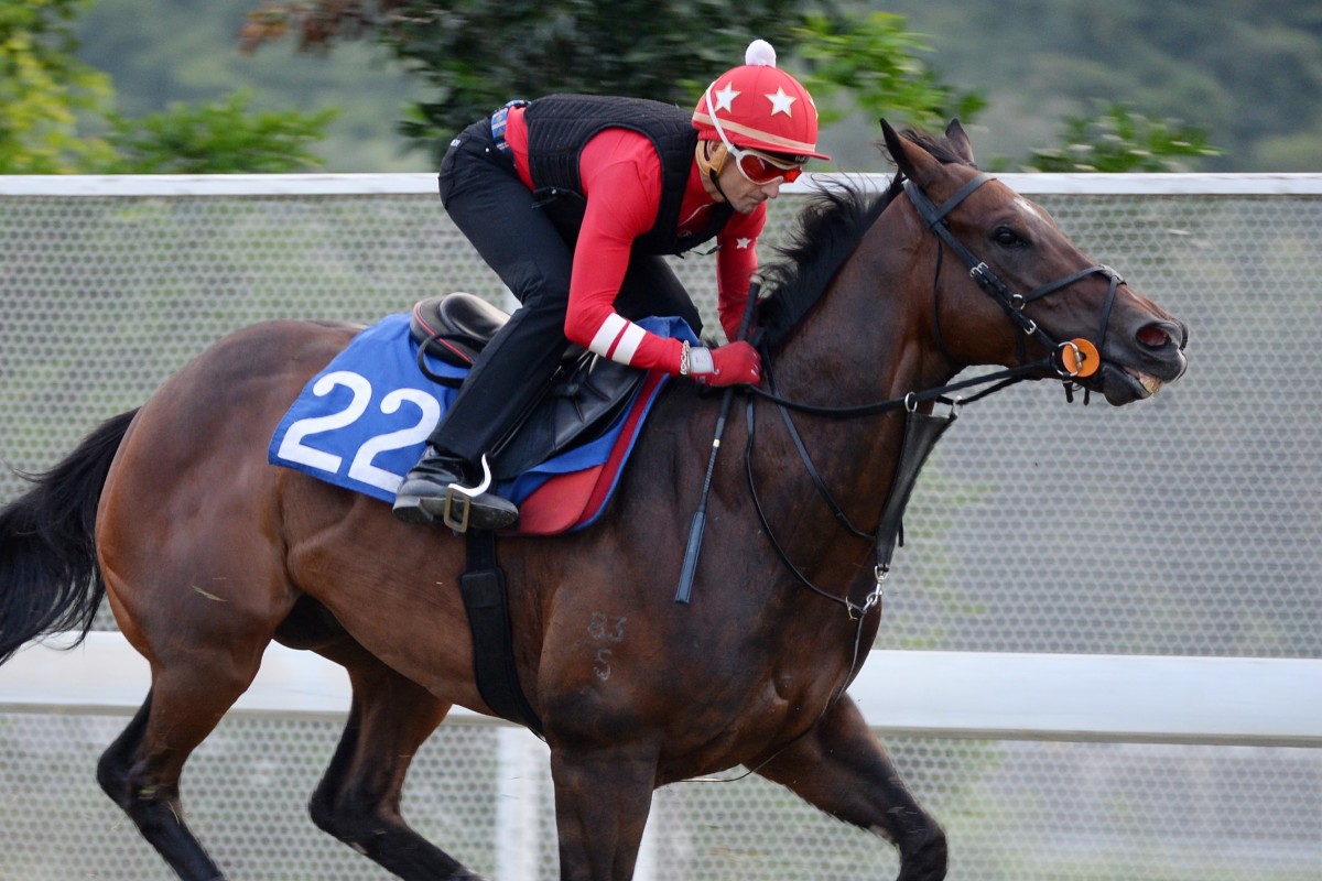 Trainer Douglas Whyte gallops General’s Delight at Sha Tin ahead of Sunday’s debut. Photos: Kenneth Chan