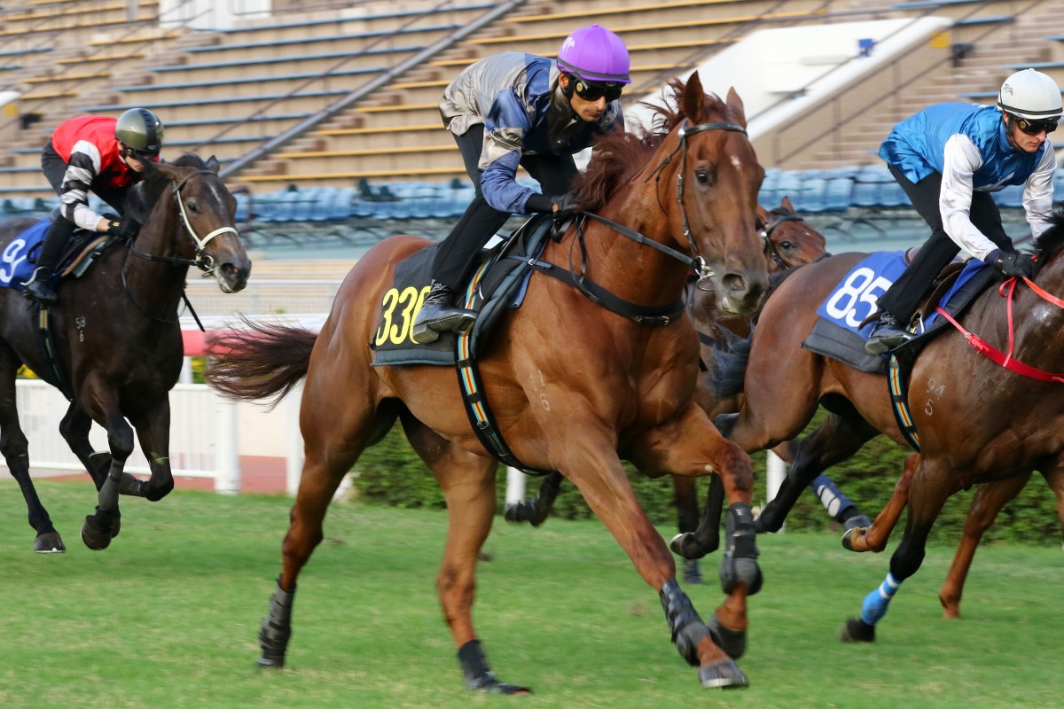 Karis Teetan partners Aethero to victory in a trial on Tuesday morning. Photos: Kenneth Chan