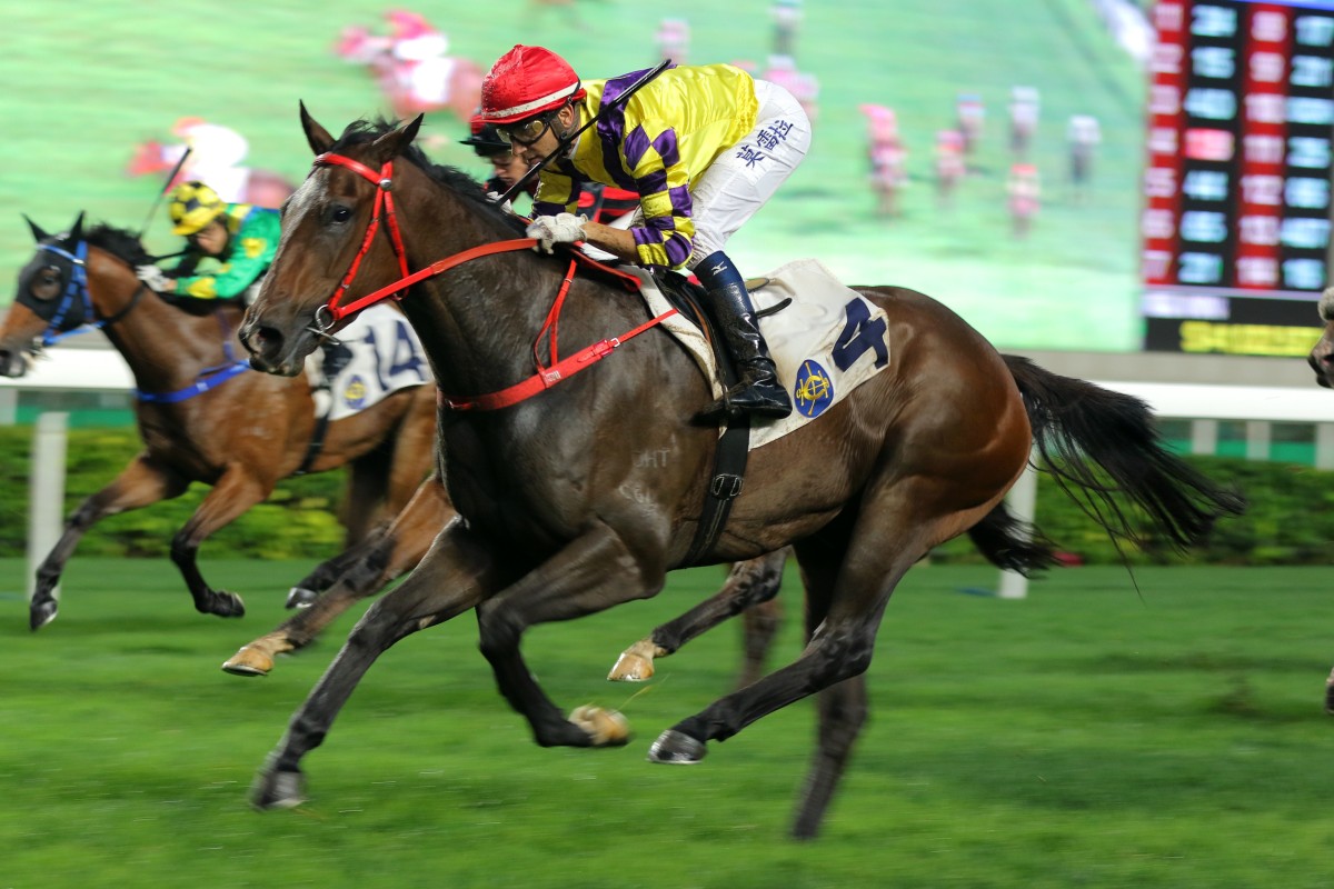 Champion’s Way crosses the line for one of his six wins last season. Photos: Kenneth Chan