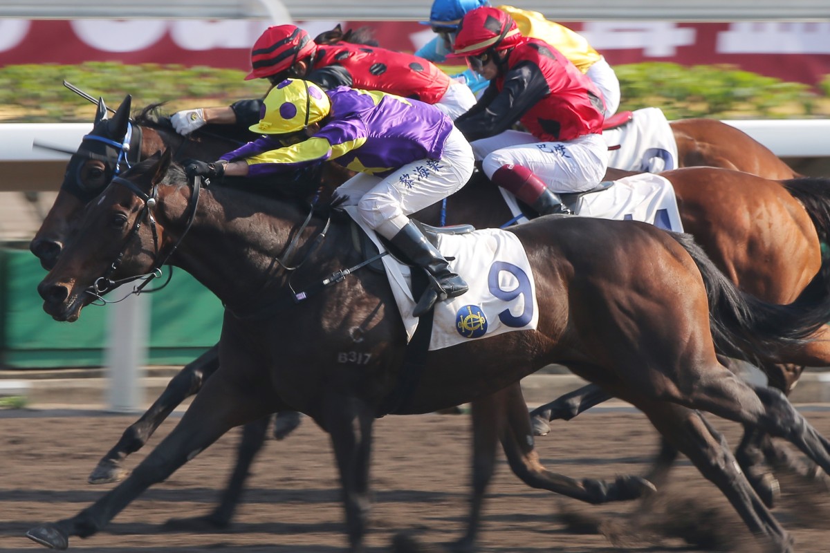 Alex Lai (outside) runs over the top of a bunched field to win at Sha Tin on Saturday. Photos: Kenneth Chan