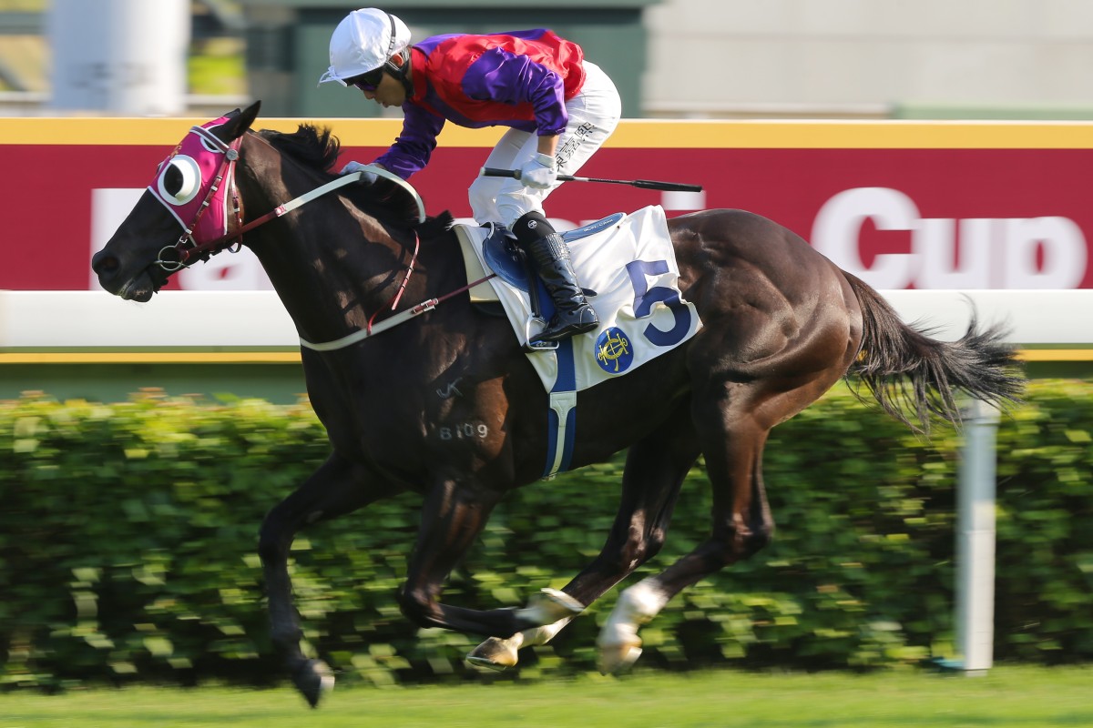 Alfred Chan pilots Encouraging to a track record-breaking win at Sha Tin on Saturday. Photos: Kenneth Chan