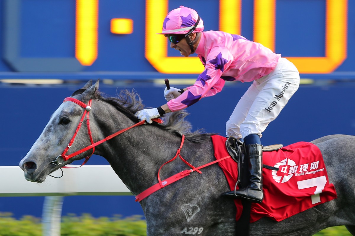 Hot King Prawn wins last year’s Jockey Club Sprint. Photos: Kenneth Chan