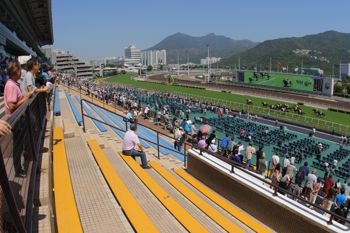Fans watch the racing at Sha Tin. Photo: Kenneth Chan