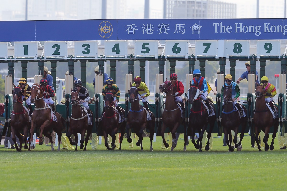 Horses jump in Sunday’s Group Two Jockey Club Cup. Photos: Kenneth Chan