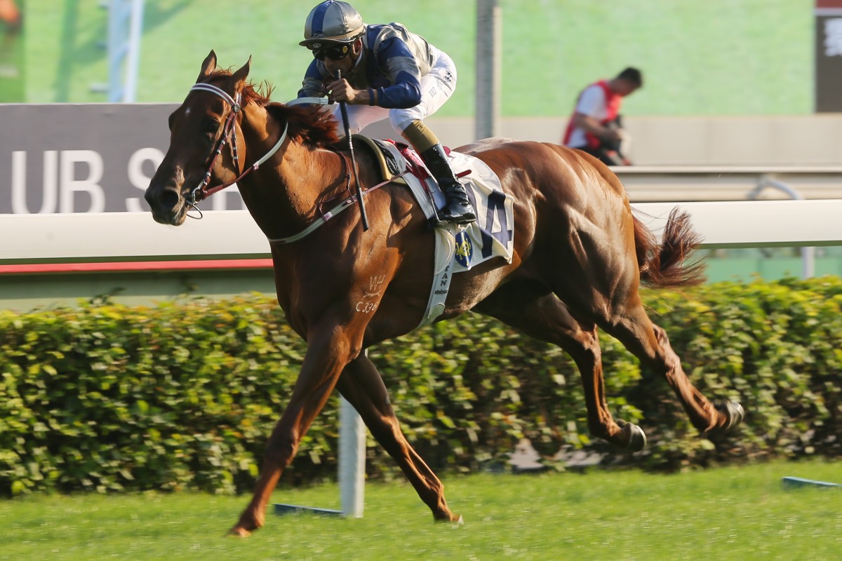 Aethero wins the Group Two Jockey Club Sprint on the weekend. Photos: Kenneth Chan