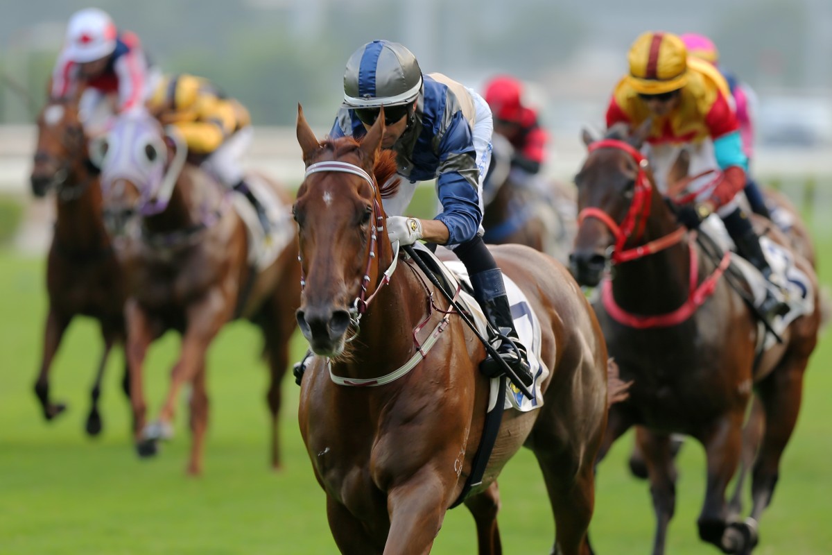 Aethero wins at Sha Tin in October. Photos: Kenneth Chan