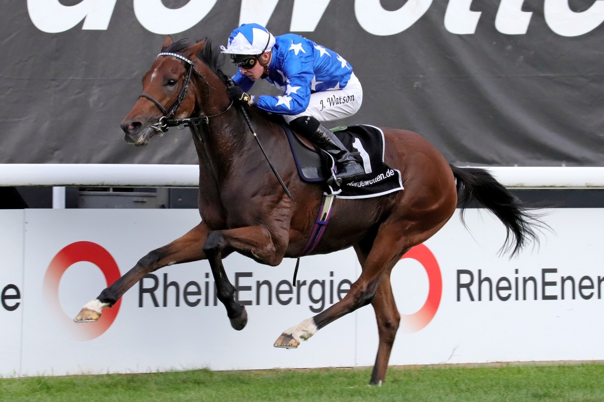 Aspetar and Jason Watson win the Preis von Europa at Cologne racecourse, Germany. Photo: Racingfotos.com