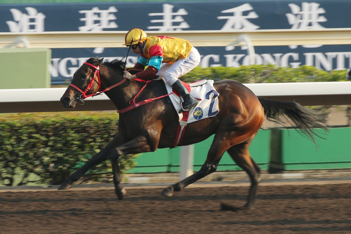 Big Time Baby salutes with ease at Sha Tin on Sunday. Photos: Kenneth Chan