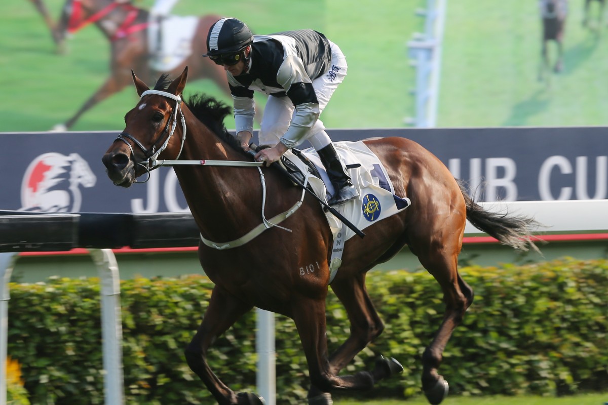 Exultant wins at Sha Tin. Photo: Kenneth Chan