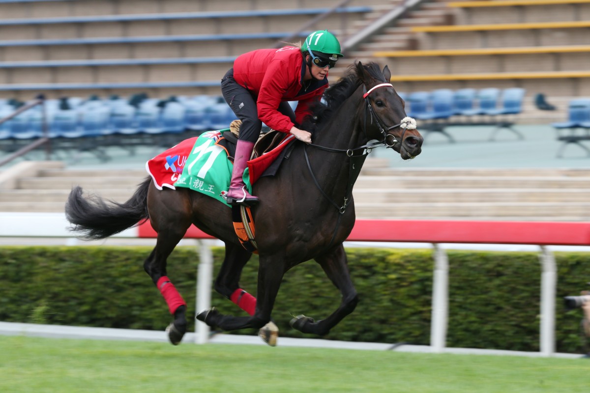 Prince Of Arran gallops at Sha Tin on Thursday. Photos: Kenneth Chan