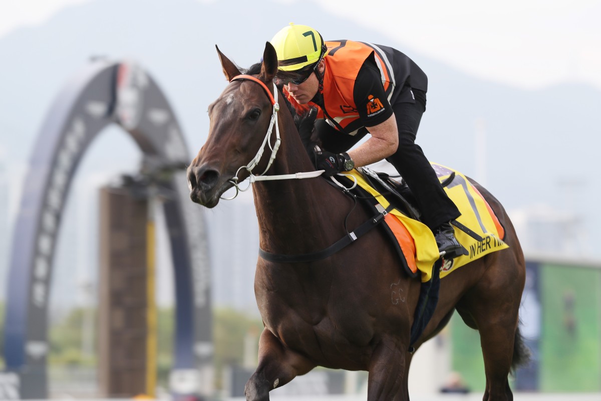 Australian sprinter In Her Time gallops on the Sha Tin turf on Friday morning. Photos: Kenneth Chan