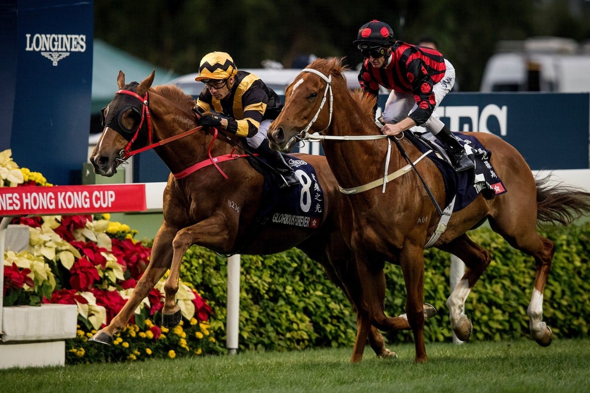 Brothers Glorious Forever (left) and Time Warp battle it out in the 2018 Hong Kong Cup. Photo: HKJC