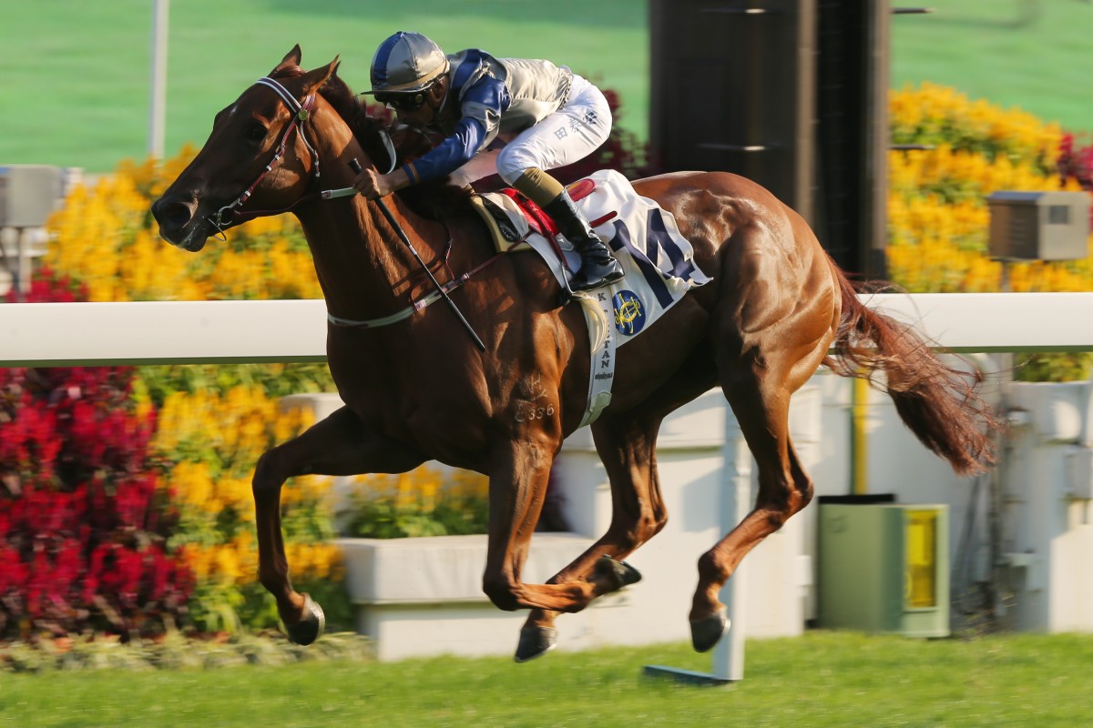 Aethero wins the Jockey Club Sprint last month. Photos: Kenneth Chan