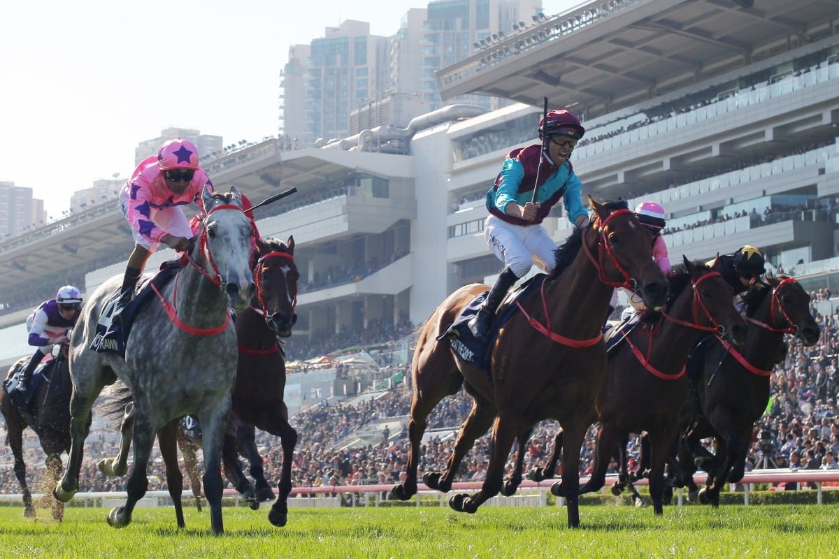 Beat The Clock takes out the Hong Kong Sprint. Photos: Kenneth Chan