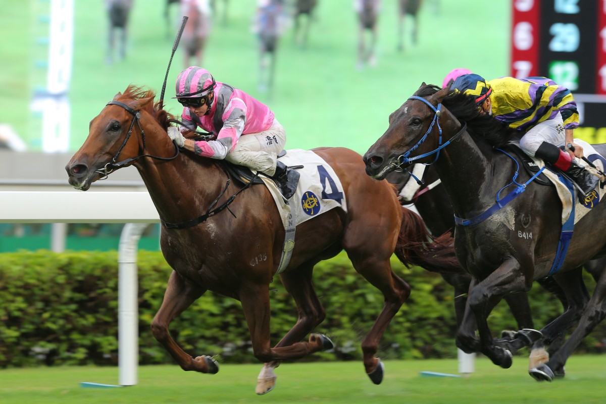 Band Of Brothers gets the chocolates at Sha Tin in October. Photos: Kenneth Chan