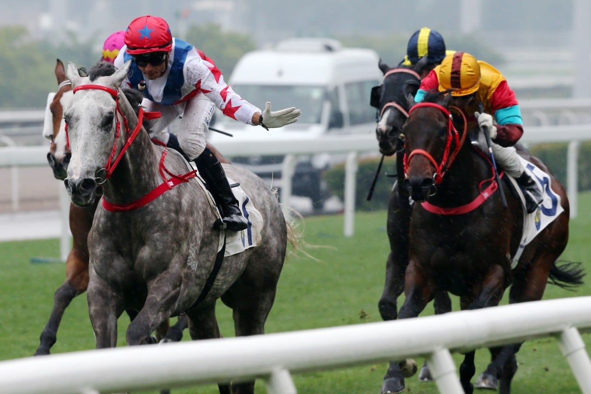 Grant van Niekerk gives Big Party a pat as he cruises to victory in the Group Three Bauhinia Sprint Trophy at Sha Tin on Sunday. Photos: Kenneth Chan