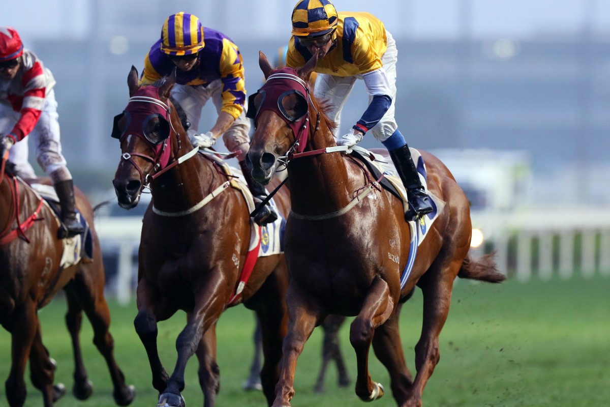 Douglas Whyte wins on Styling City at Sha Tin last season. Photos: Kenneth Chan