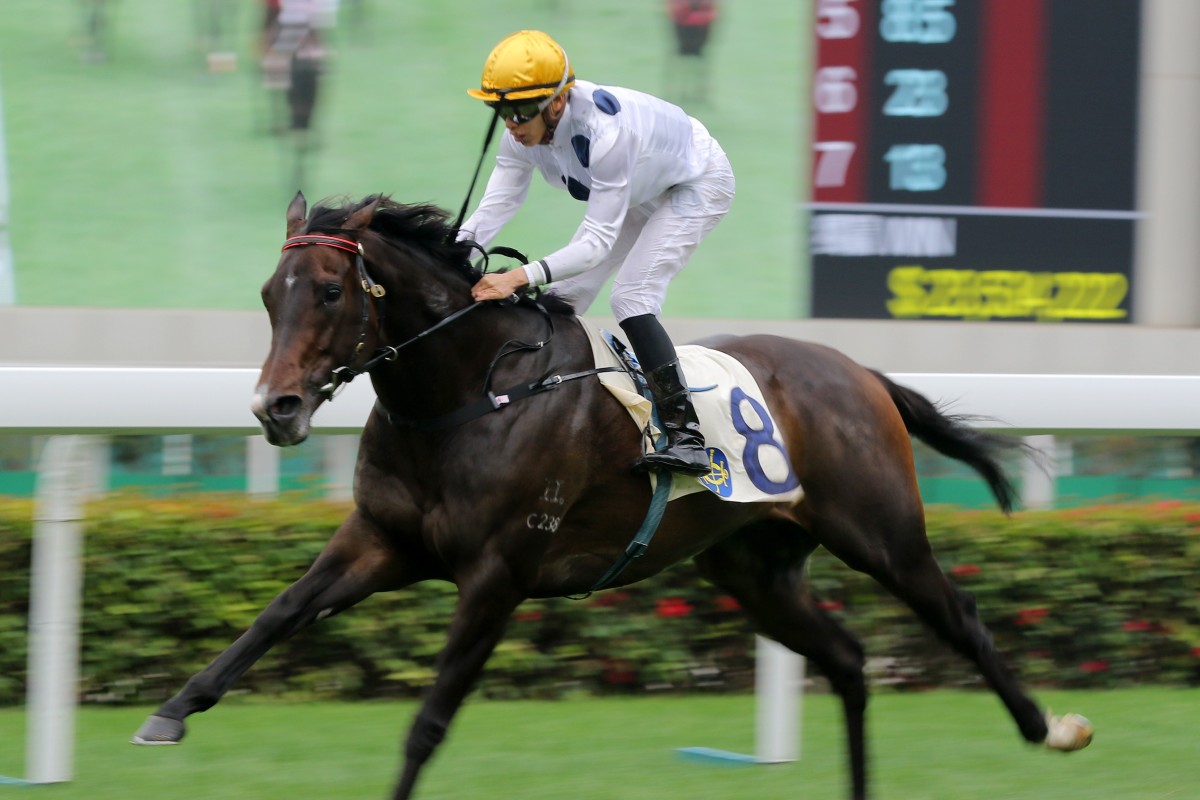 Golden Sixty bolts clear at Sha Tin on Wednesday. Photos: Kenneth Chan