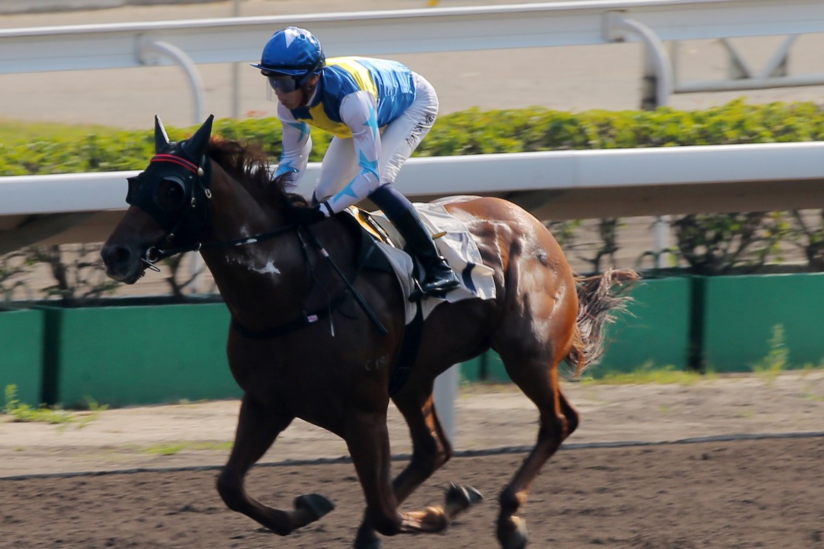 Vincent Ho coasts to victory on Elite Patch at Sha Tin. Photos: Kenneth Chan