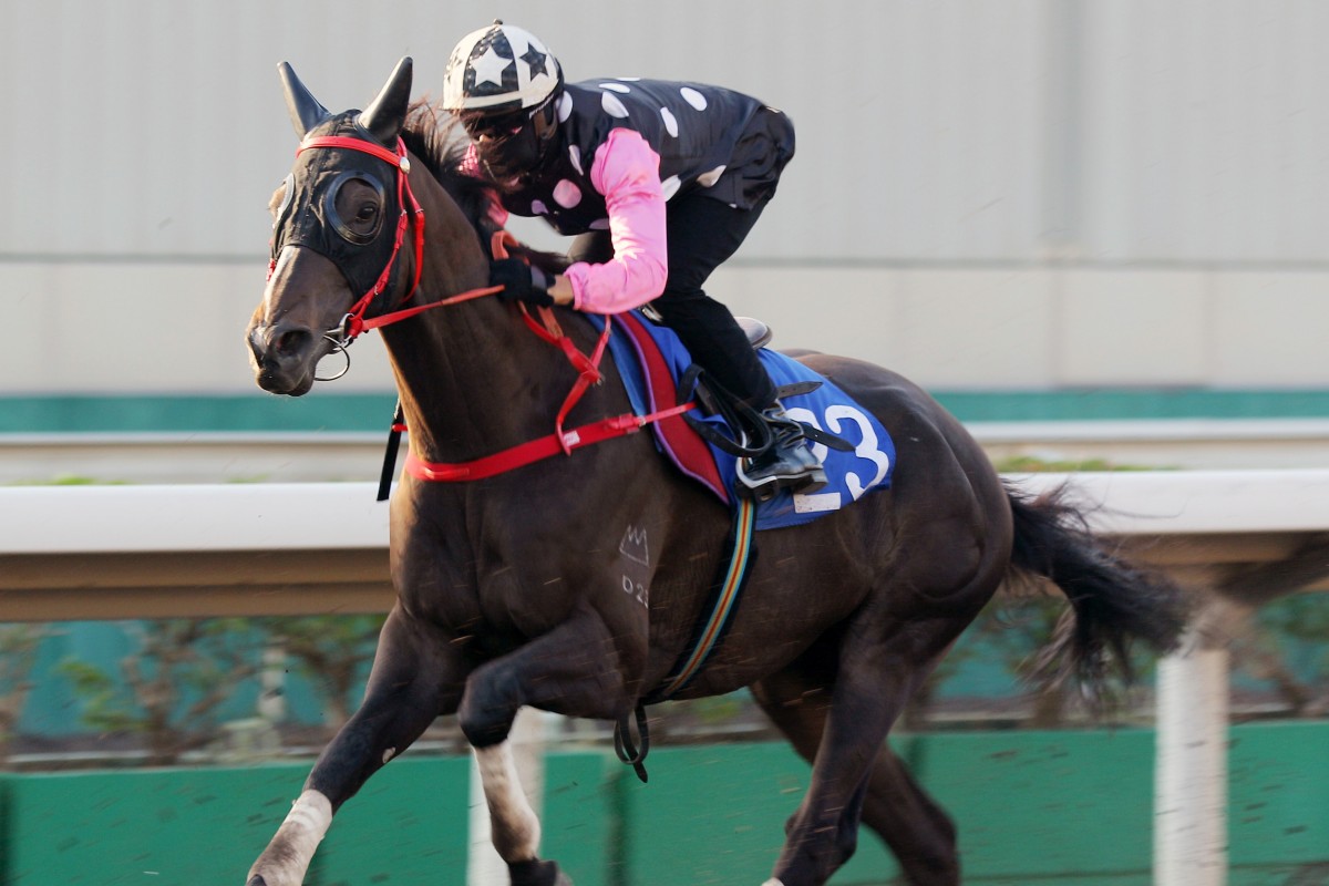 Beauty Legacy trials under Joao Moreira at Sha Tin last month. Photos: Kenneth Chan